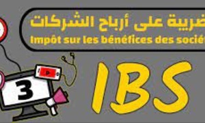 الضريبة على أرباح الشركات I.B.S FSEGC109